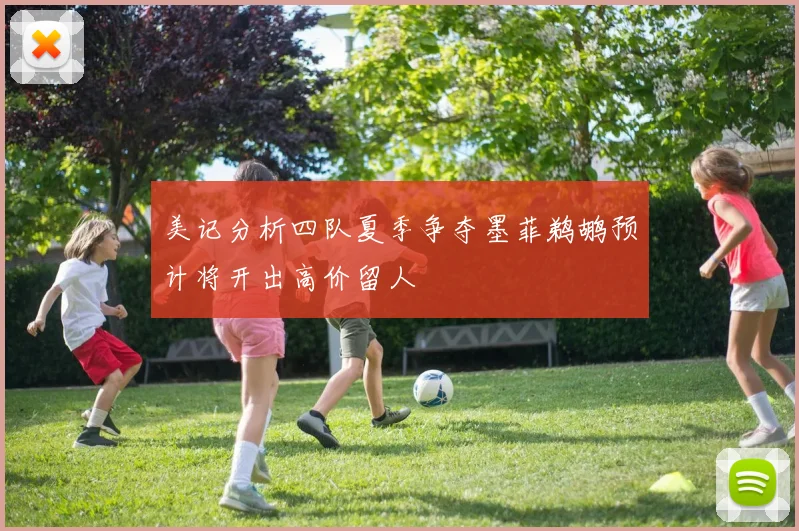 美记分析四队夏季争夺墨菲鹈鹕预计将开出高价留人